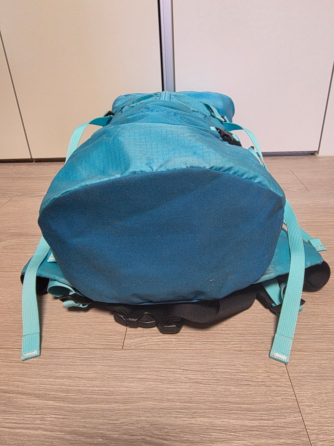 아크테릭스 Altra 33 백팩 Electric Blue

 상품이미지5