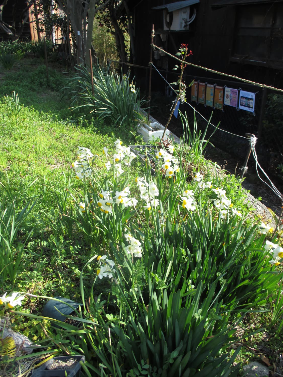 캐논 익시 IXY 90F (IXUS 132) 디카 카메라 상품이미지6