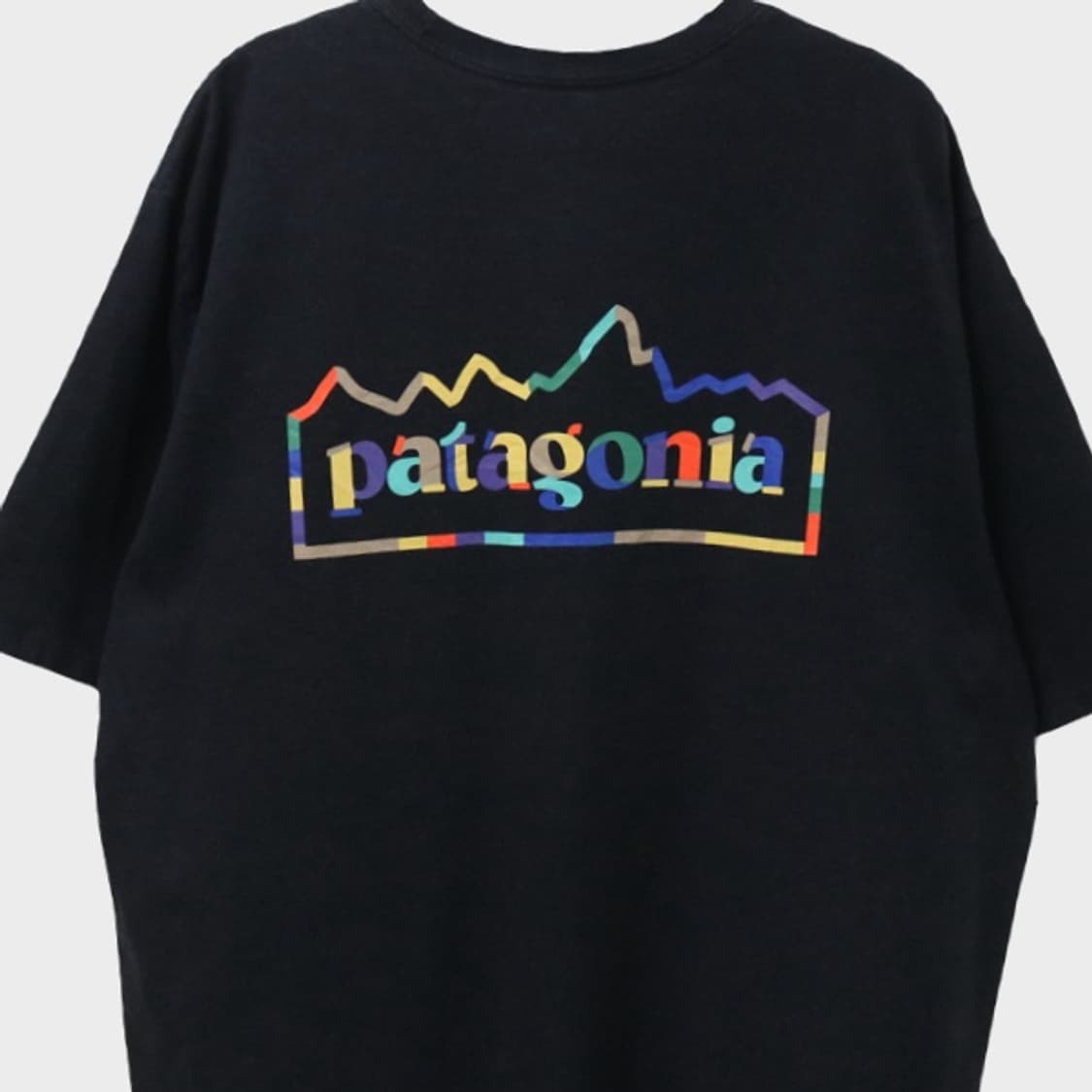 파타고니아 로고 반팔티셔츠 66422 상품이미지7