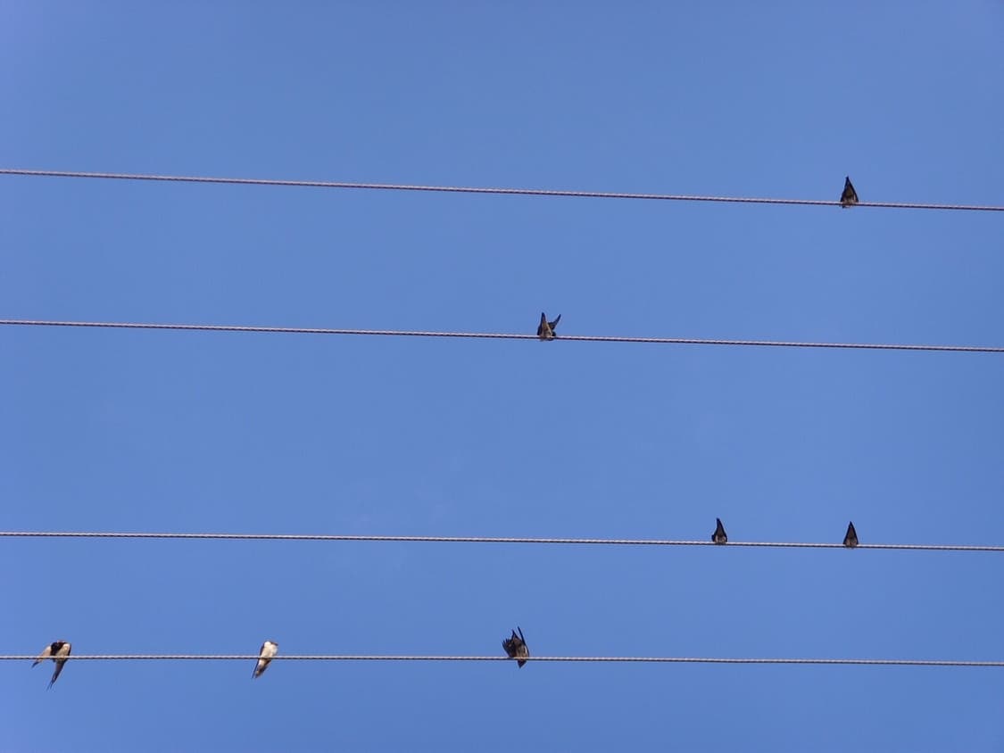 삼성 케녹스  Samsung Kenox #11 블랙 상품이미지5