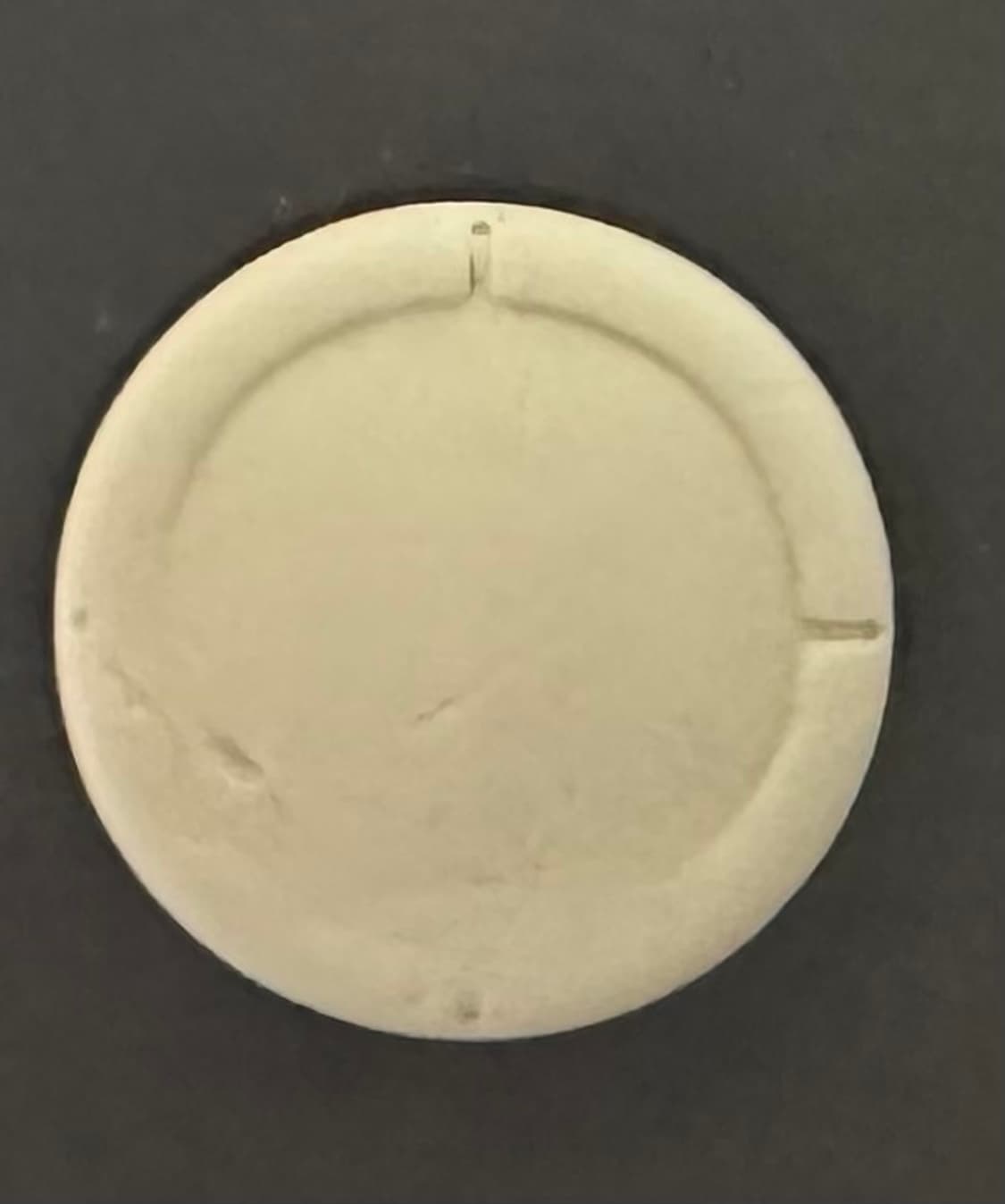 닌텐도 스위치 라이트 그레이 + 모동숲 칩 상품이미지3