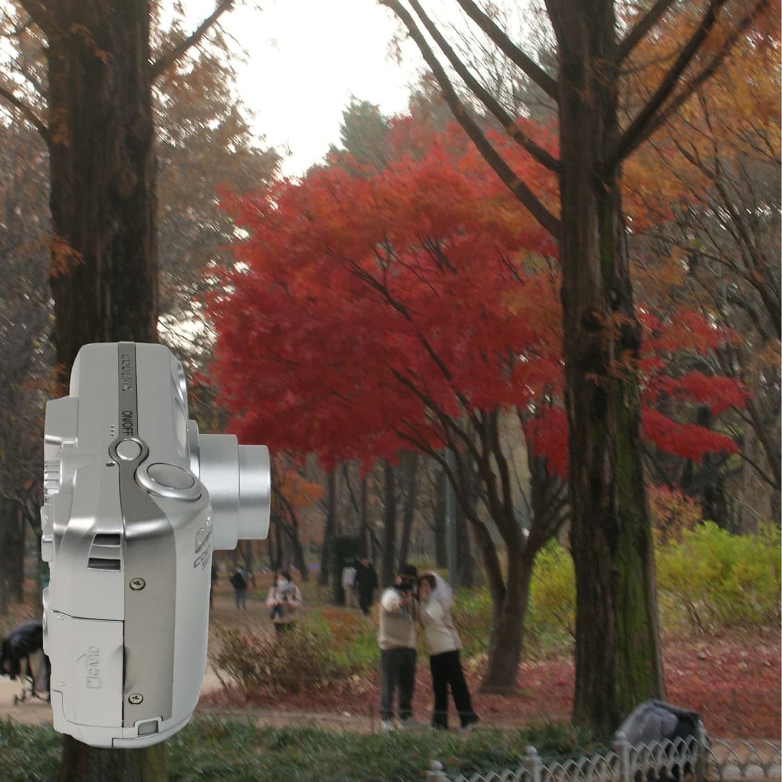 Coolpix 5600 (✨민트급/🎁풀패키지) 상품이미지9