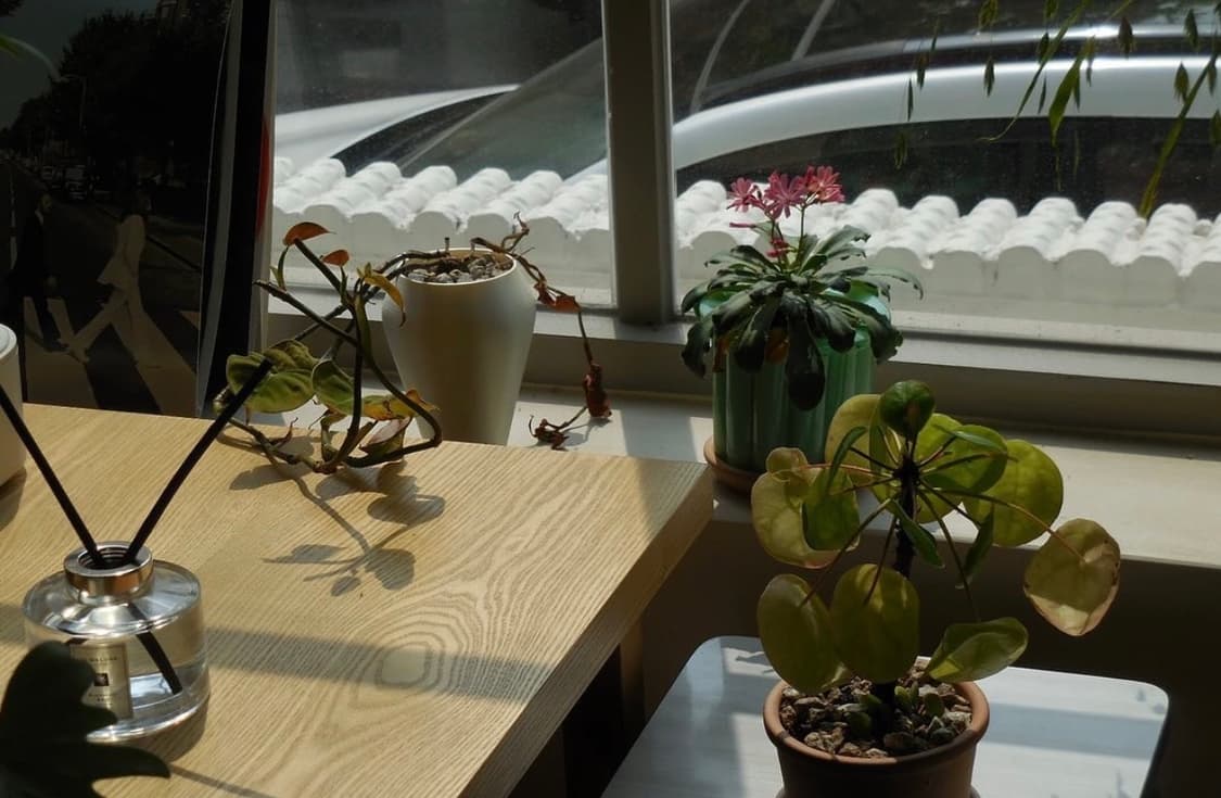 파나소닉 루믹스 Dmc-fs3 상품이미지4