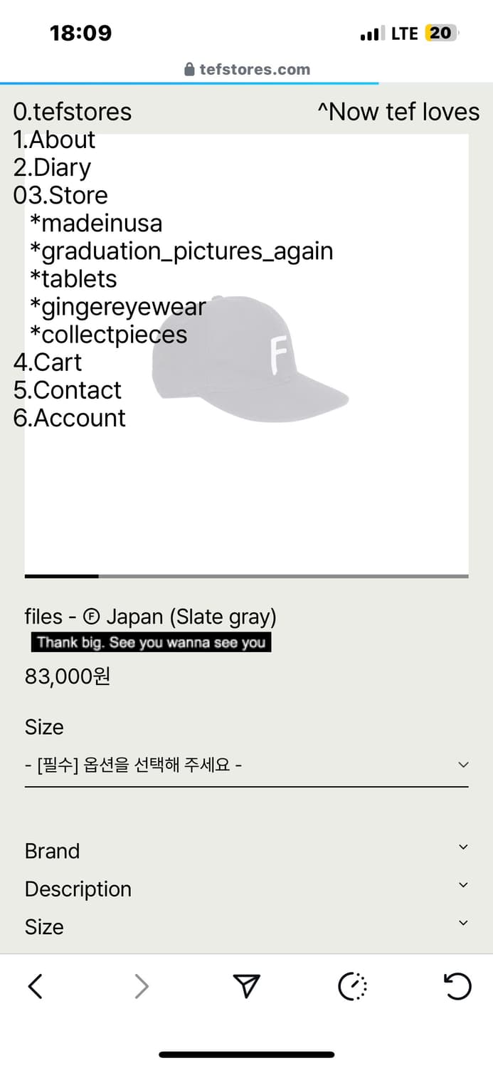 테프스토어즈 볼캡 라지 상품이미지1