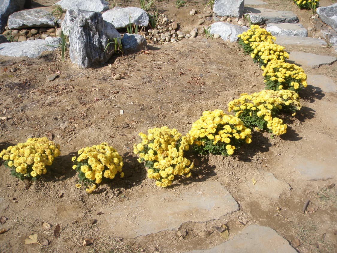 올림푸스 뮤 1040 디카 (빈티지 카메라) 상품이미지6