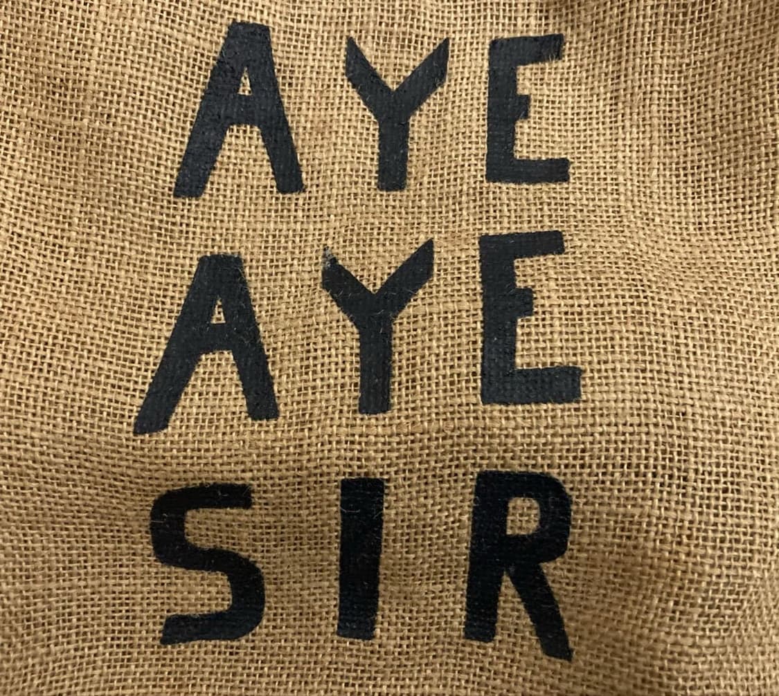 KAPITAL AYE AYE SIR 라탄 숄더백 상품이미지4