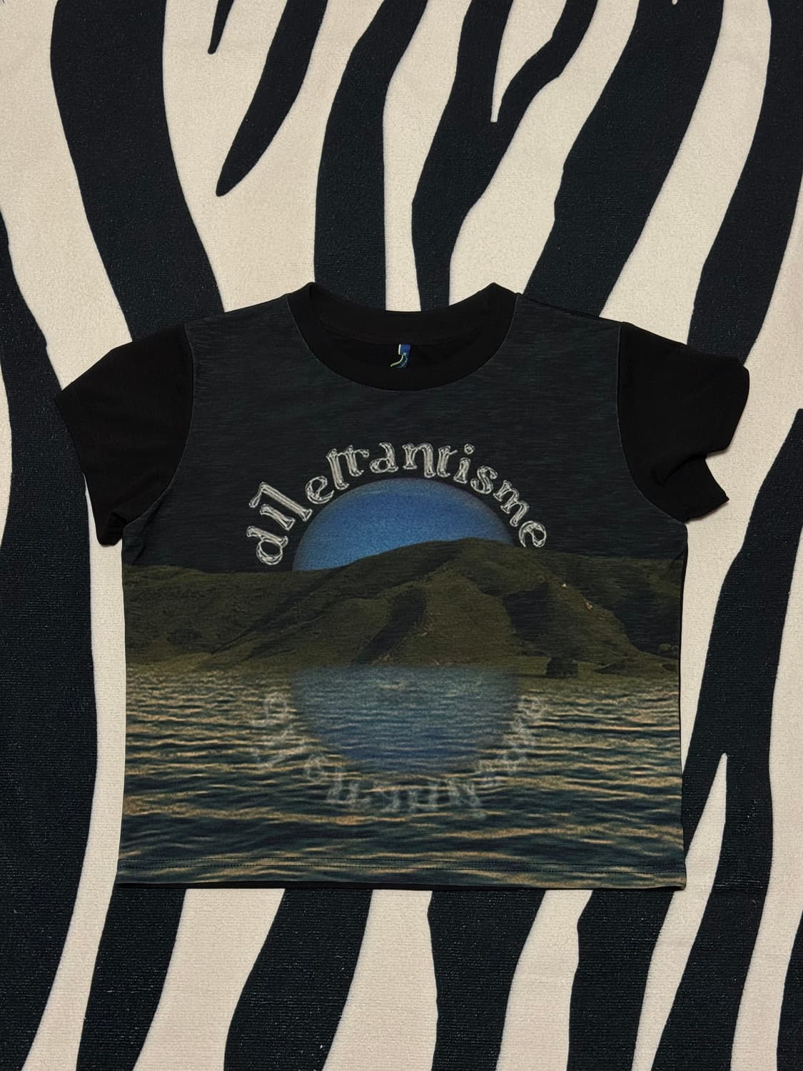 딜레당티즘 달 그래픽 크롭 티셔츠 상품이미지1