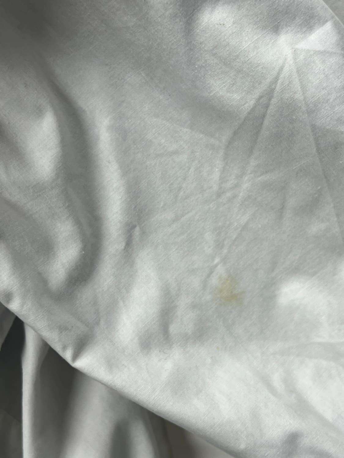 American Vintage Reversible Jacket 상품이미지6