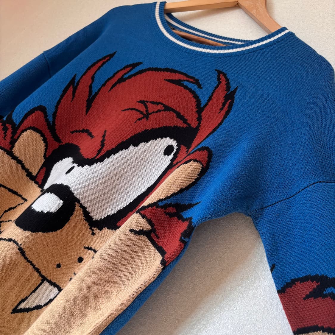 WB 루니툰 M 100 니트 워너브라더스 포에버21  상품이미지2