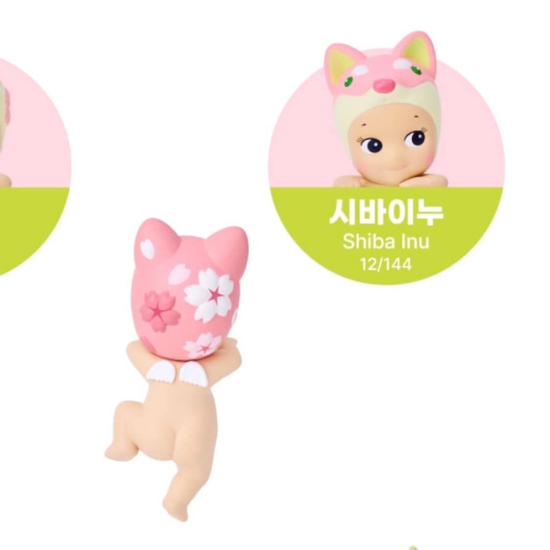 소니엔젤 체리블라썸 히퍼 시바이누 상품이미지4