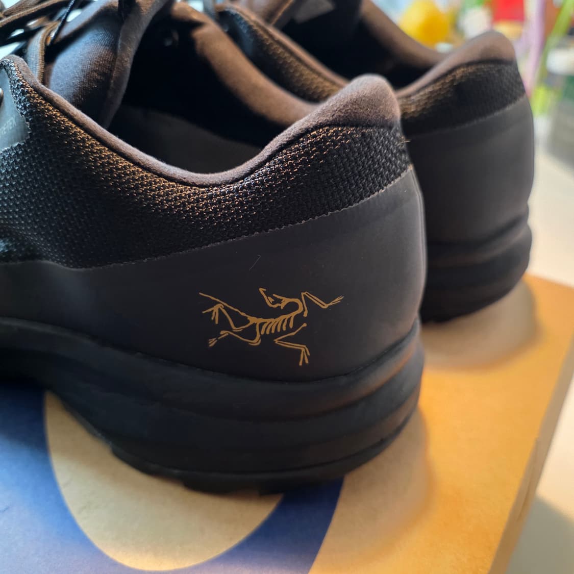 아크테릭스 FW22 에어리어스 FL 2 GTX트레이킹화 280size 상품이미지2