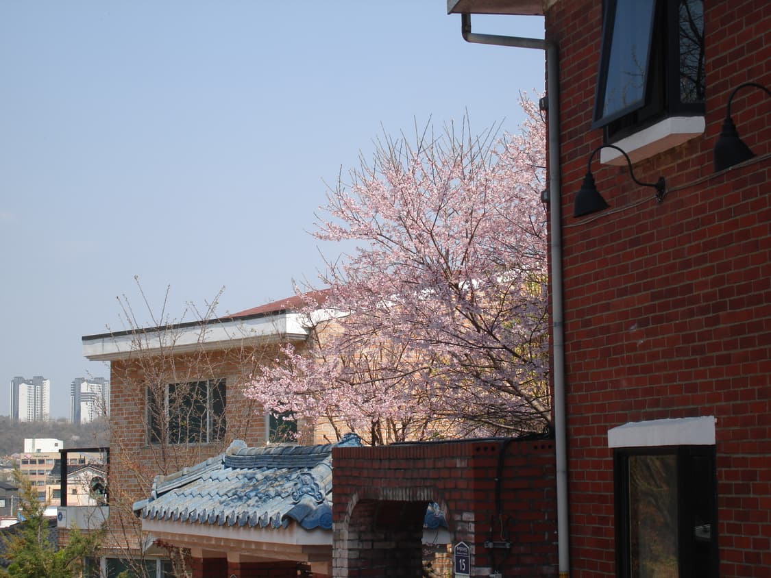 셀카&초희귀!) Sony RX100M3 III 디카 캠코더 상품이미지3