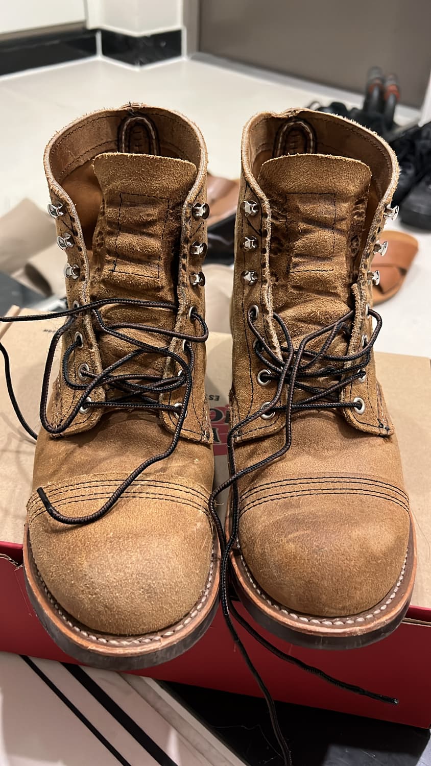 260 레드윙 8083 상품이미지2