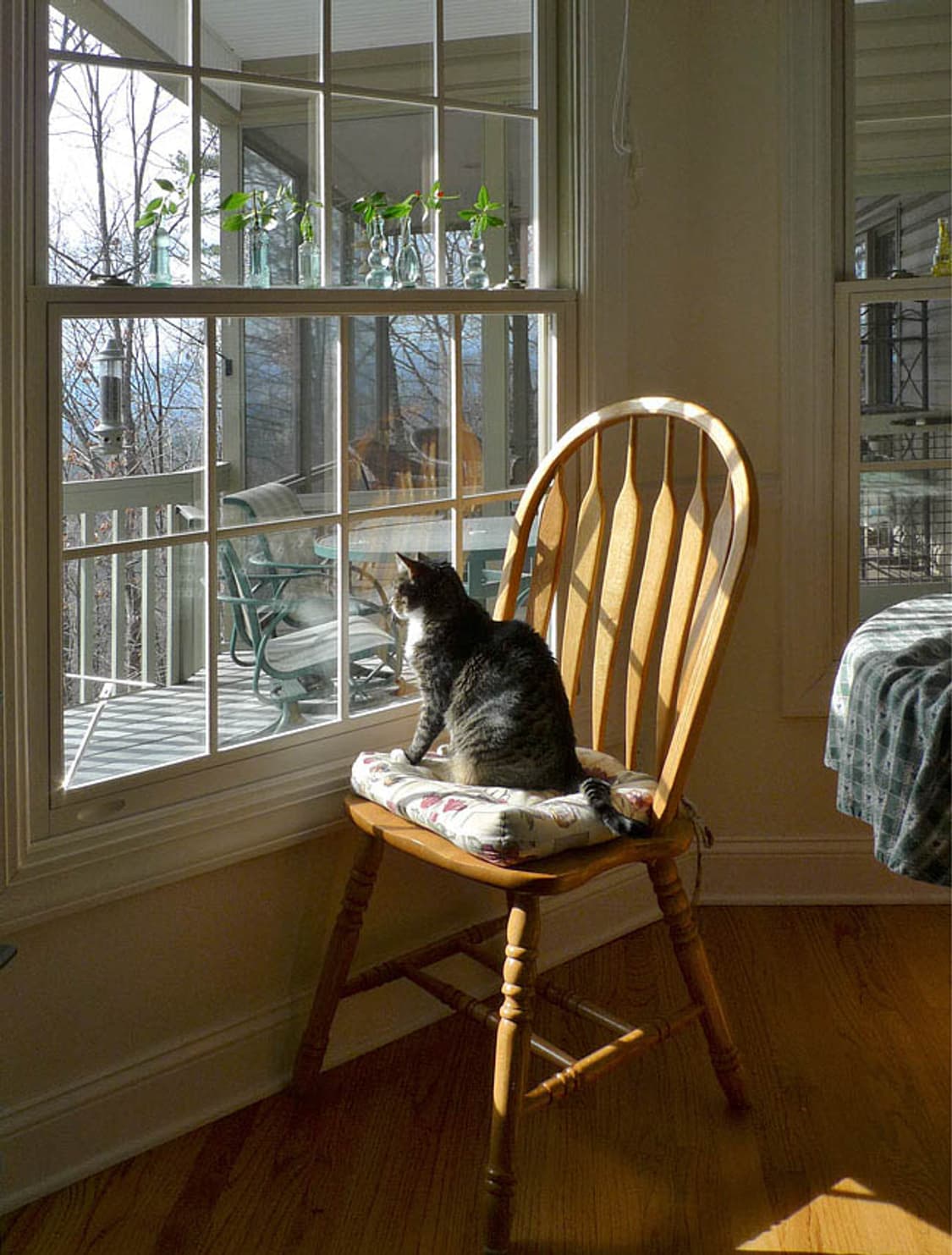 Olympus VH-210 (올림푸스 VH-210) 상품이미지10