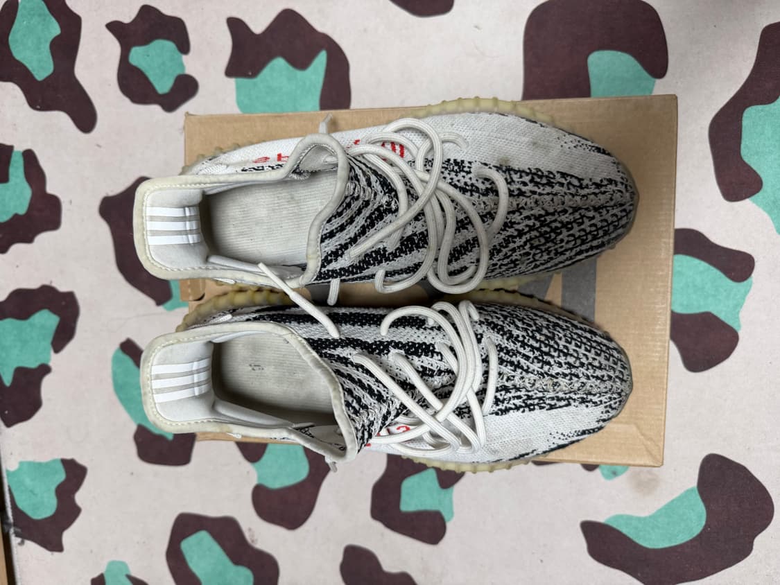 이지350 지브라 상품이미지3