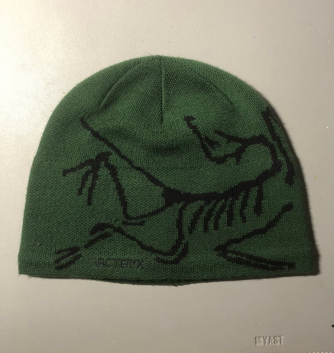 아크테릭스 비니 상품이미지1