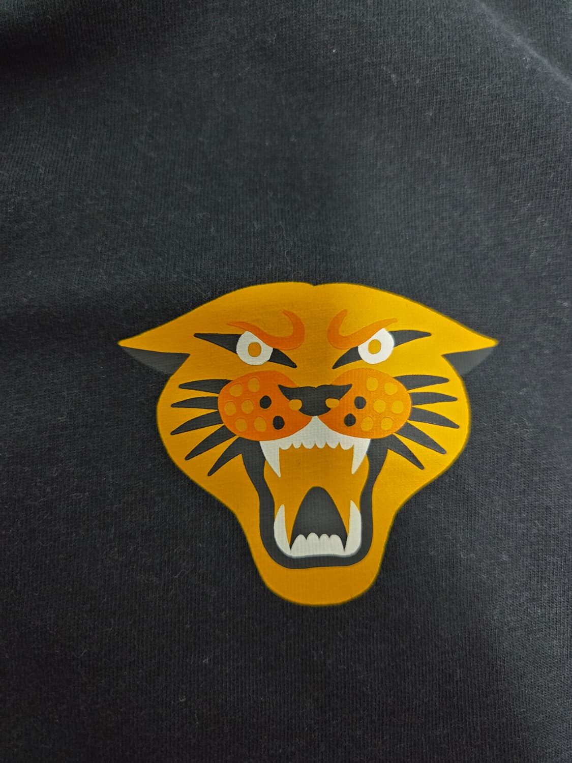 나이키 SB '치타 헤드' 그래픽 루즈핏 티셔츠 상품이미지2