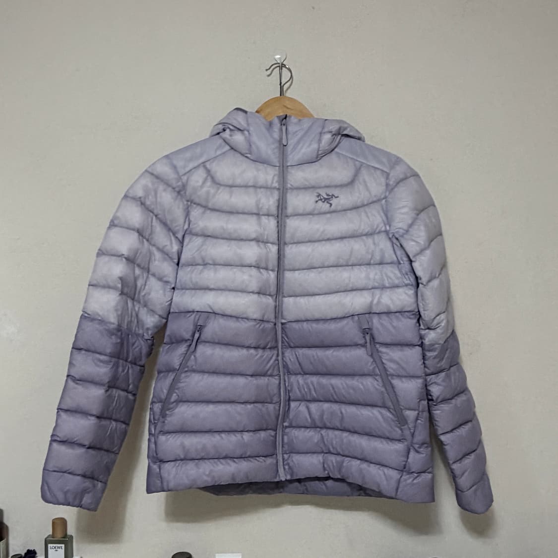 아크테릭스 세륨 후디 상품이미지3