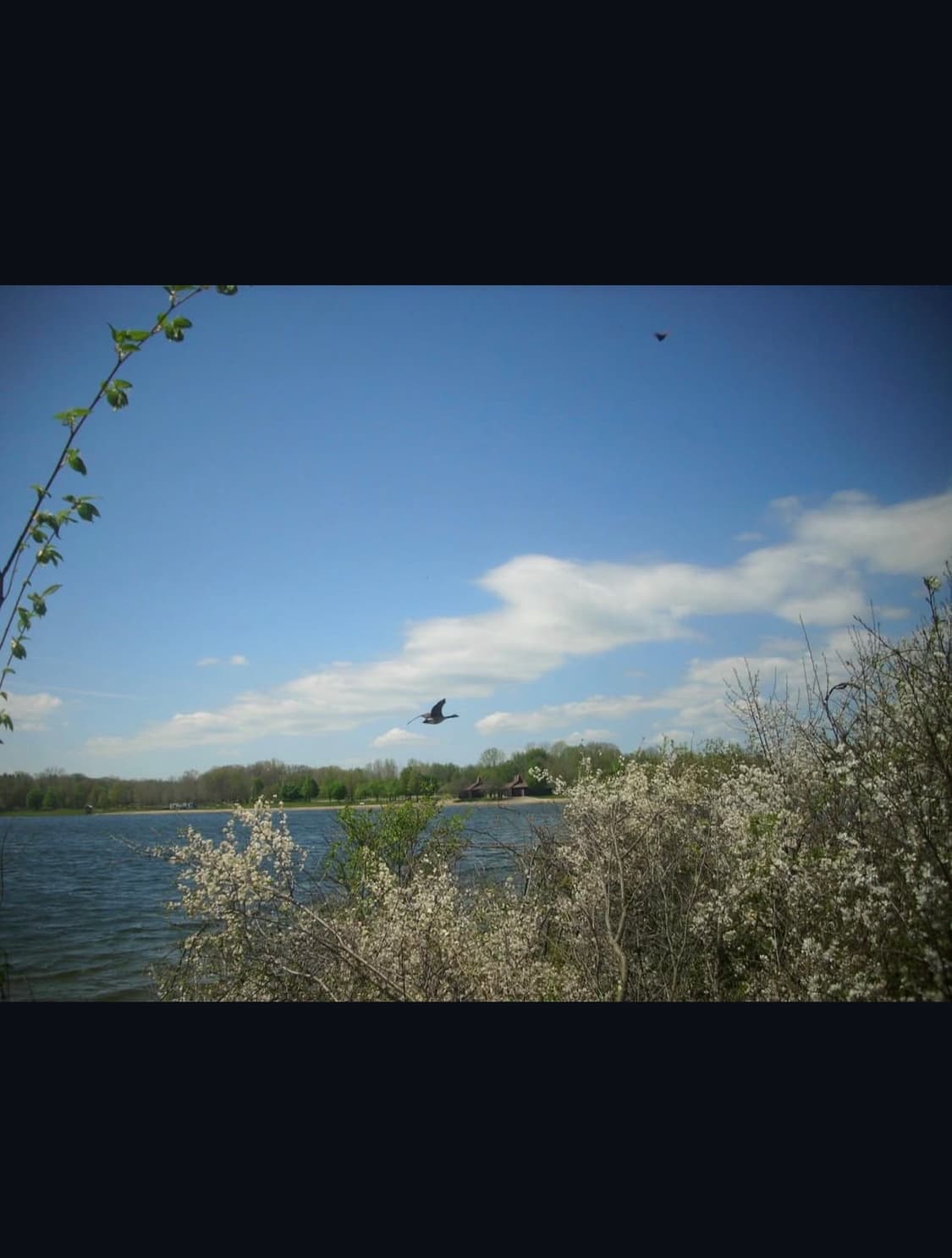 폴라로이드 i836 디지털카메라 상품이미지10