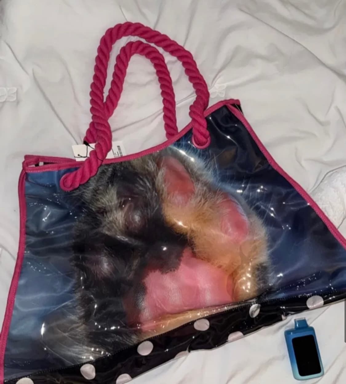 스컬프터 Jelly Big Bag Paw 상품이미지2