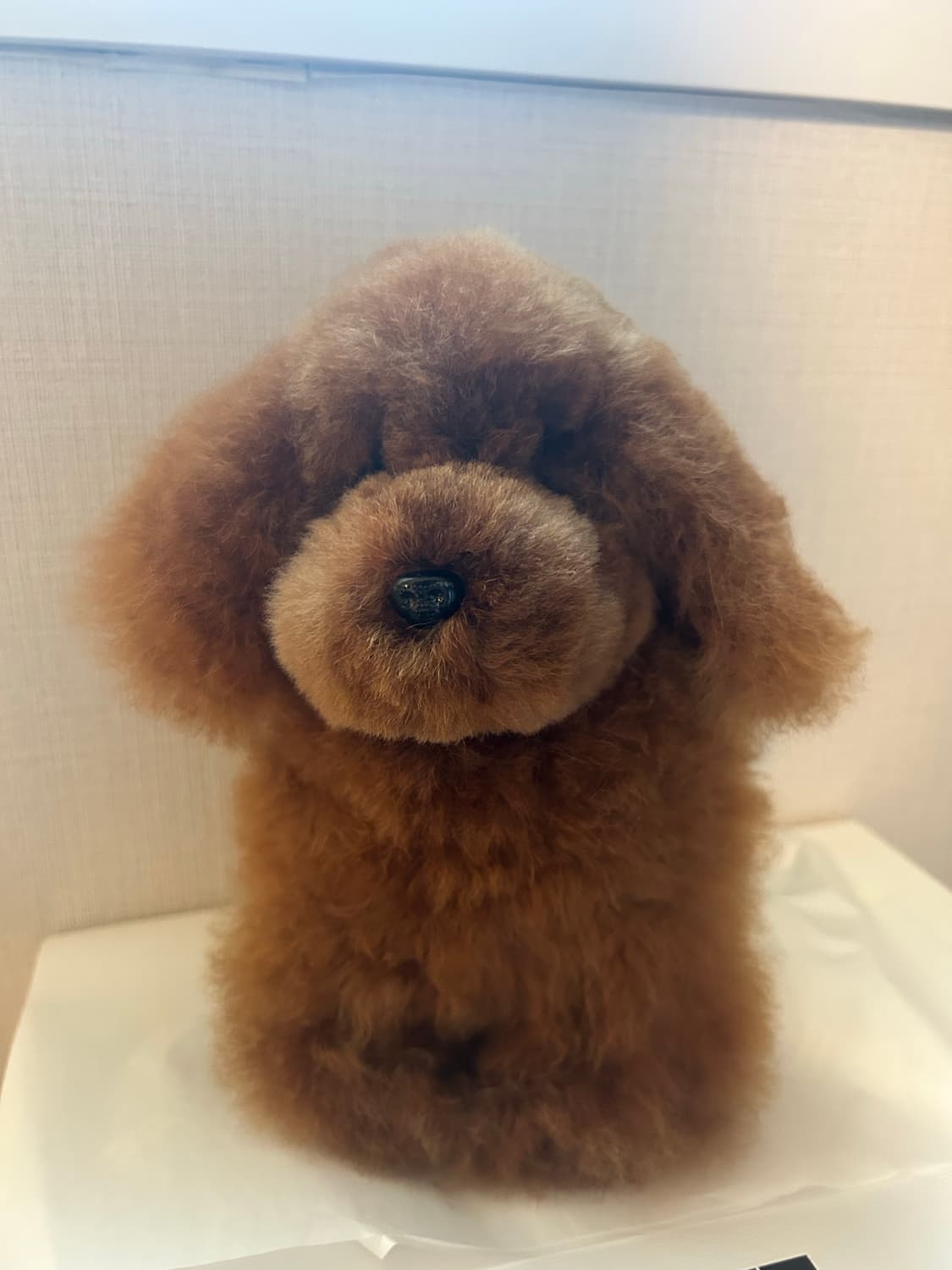 컴발리 알파카 멍멍이s 상품이미지2