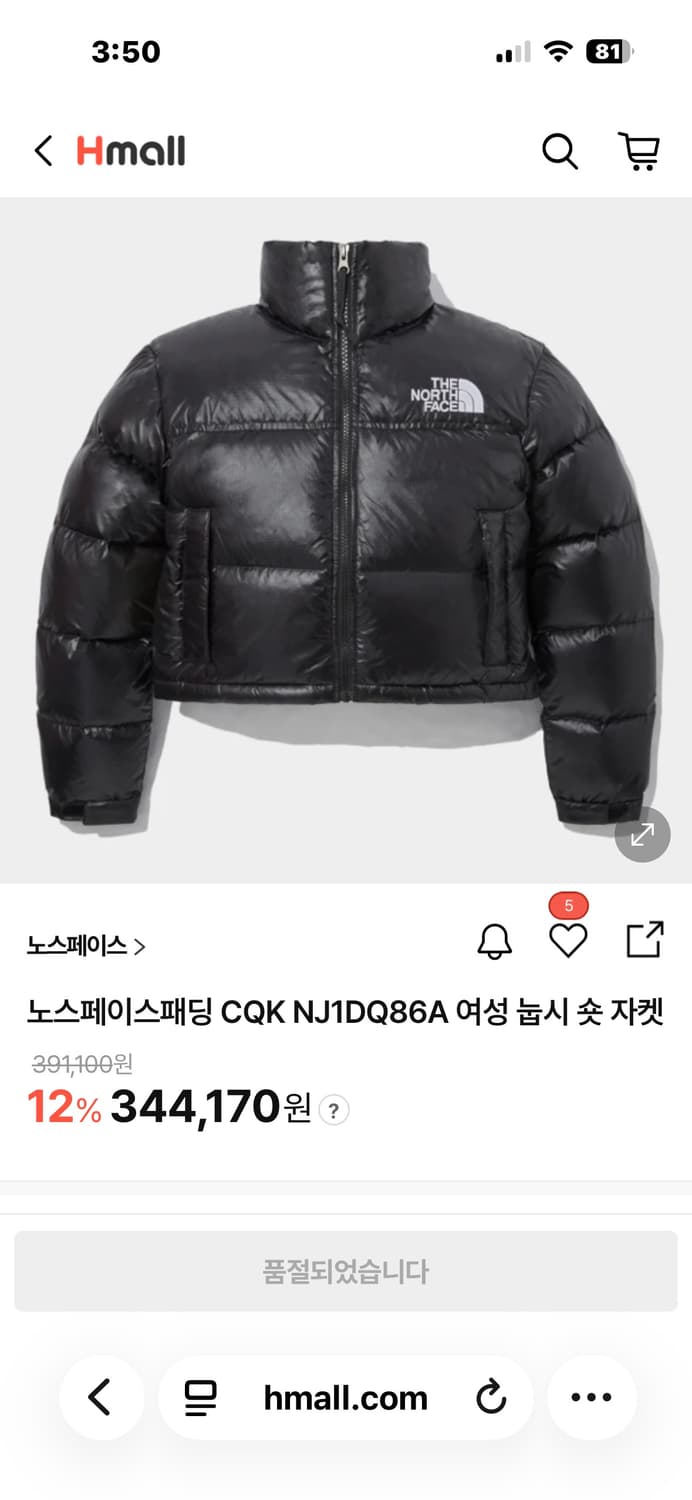 노스페이스 눕시 여성 크롭패딩 m 상품이미지4