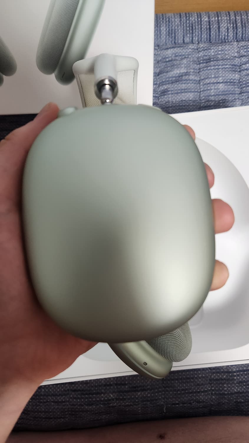 에어팟맥스그린새상품급(희귀제품)+정품충전기 상품이미지3