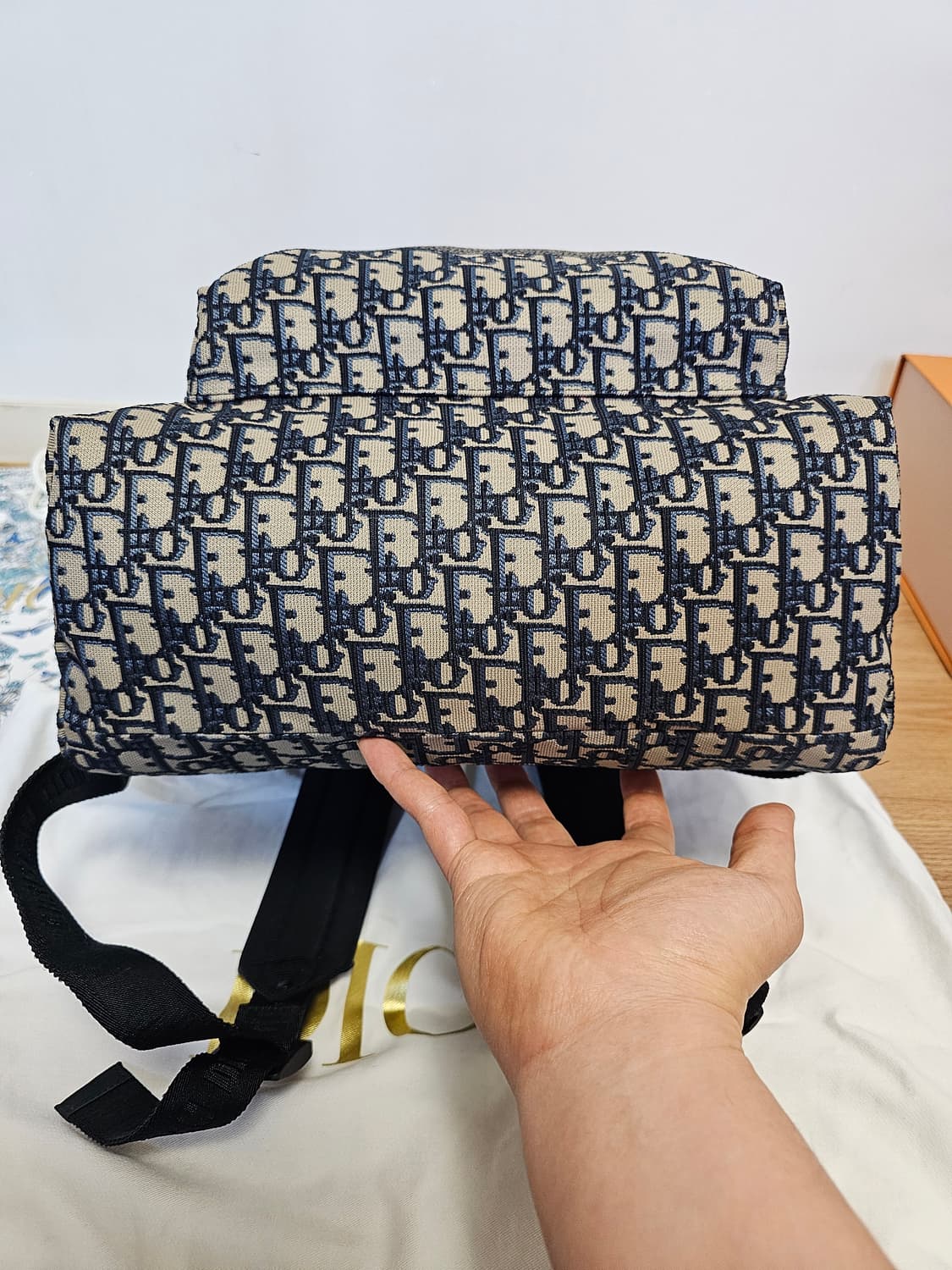 디올 오블리크 Travel 시그니처 여성 백팩 상품이미지8