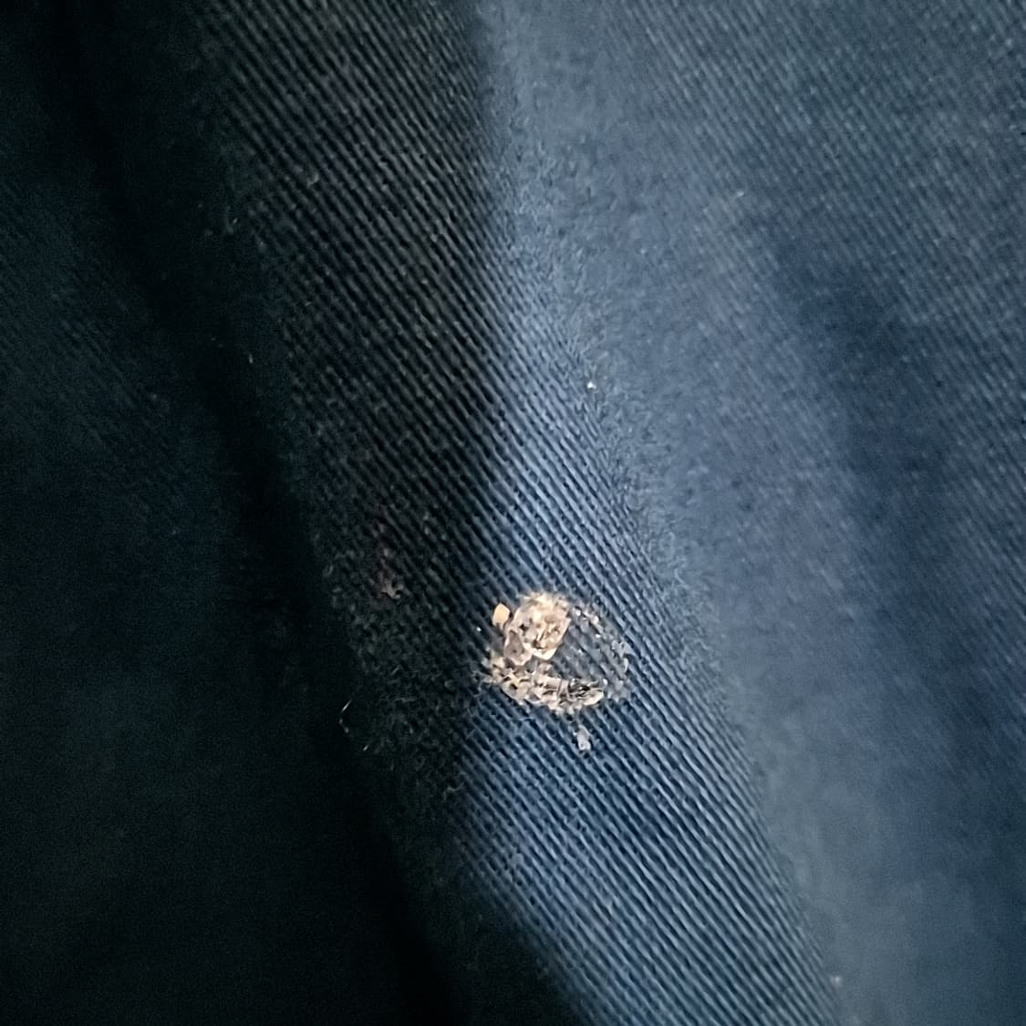 Mlb 엠엘비 La다저스 자켓 상품이미지5