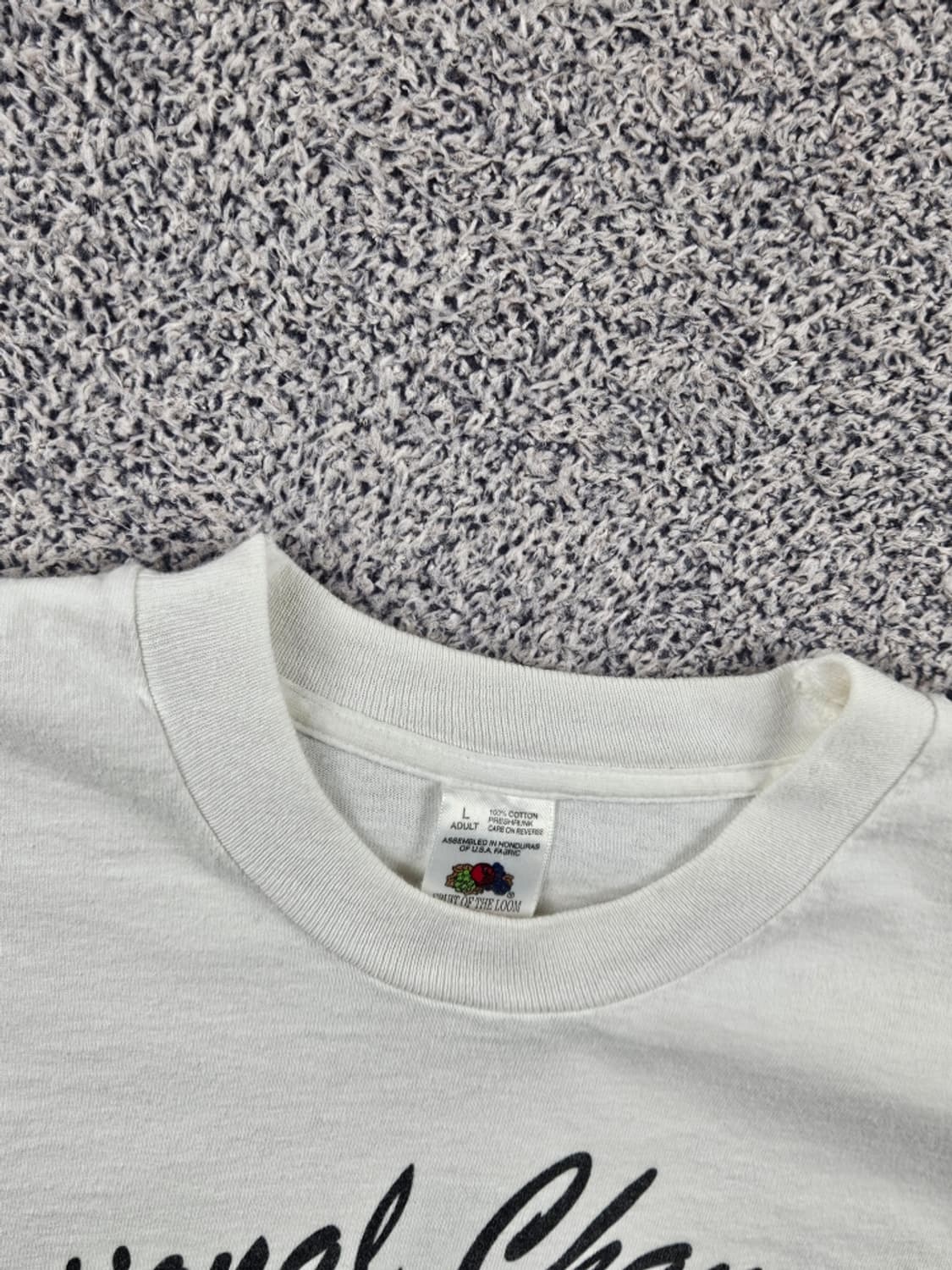 90's 프룻오브더룸 네브래스카 싱글스티치 롱슬리브 ( L )/11358 상품이미지7