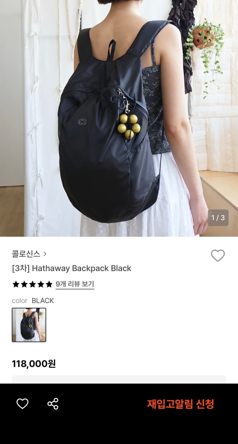 콜로신스 Hathaway backpack 상품이미지3