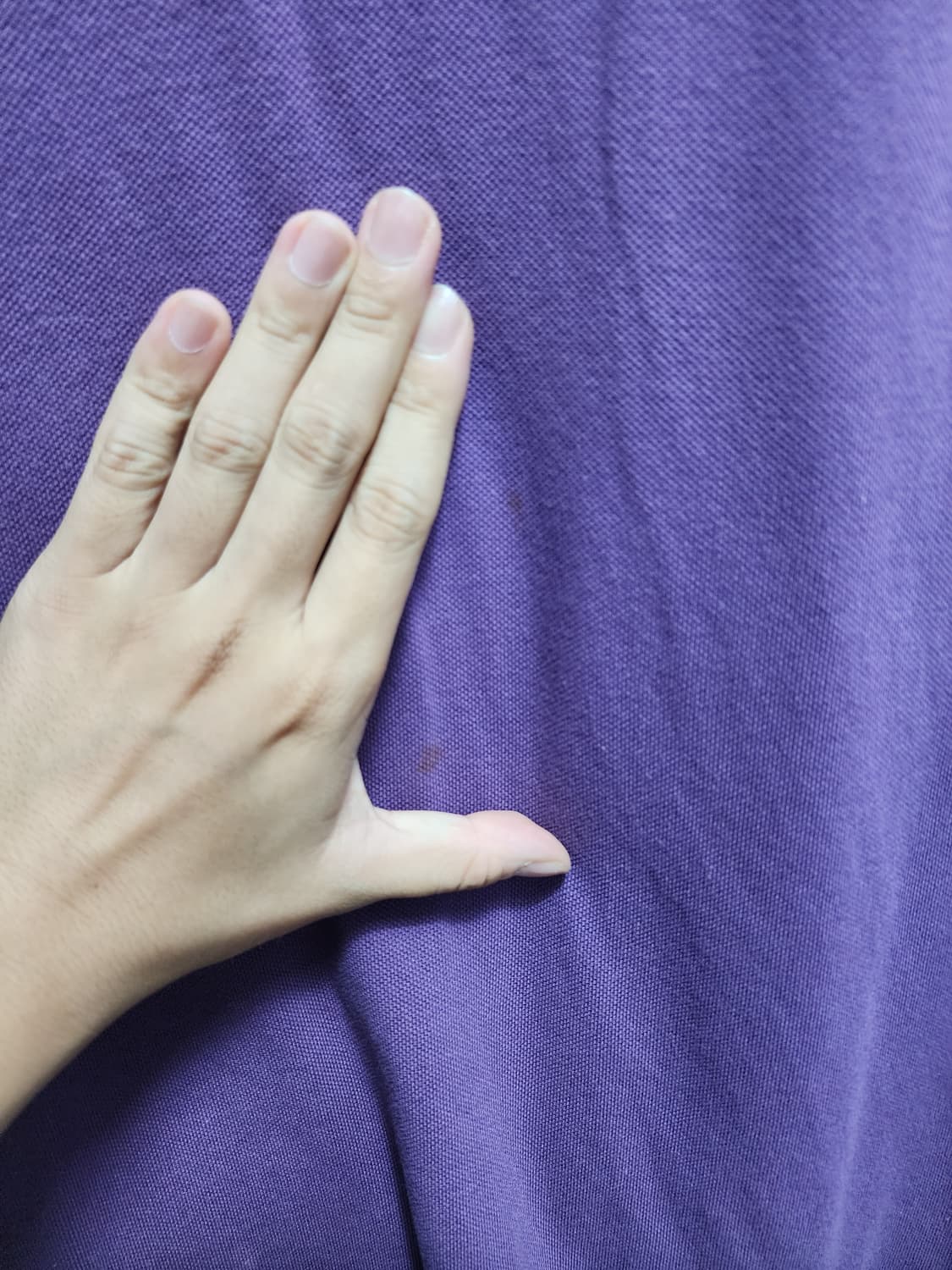 폴로 퍼플 반팔 카라티  상품이미지3