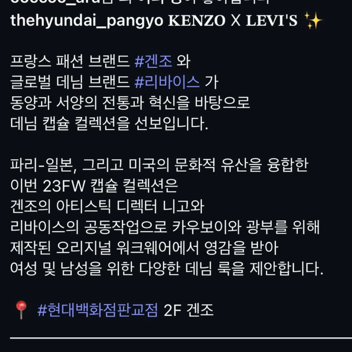 겐조X리바이스 콜라보 오버롤 데님 팬츠 상품이미지3