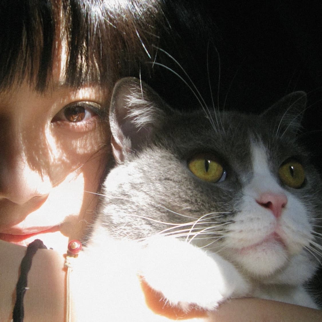 캐논 익서스 디카 디지털 카메라 ixus 870is 대여 상품이미지2