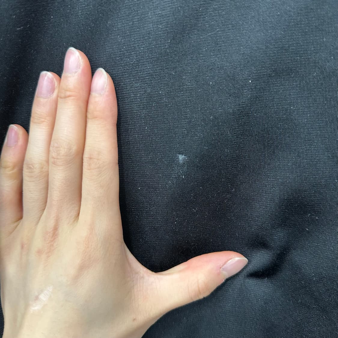 아디다스 파이어버드 져지 상품이미지6