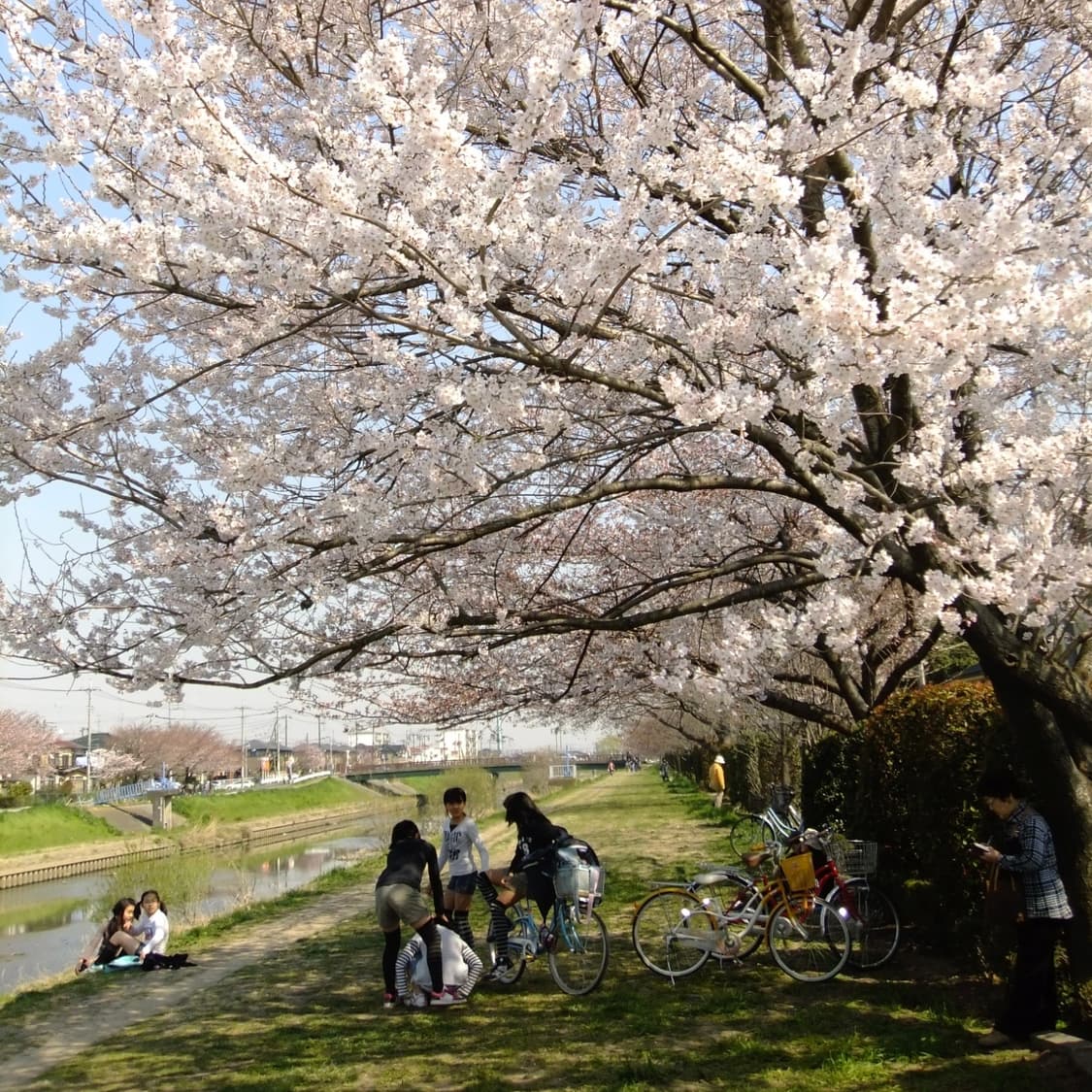 후지필름 파인픽스 Z700EXR 핑크 빈티지디카 상품이미지2