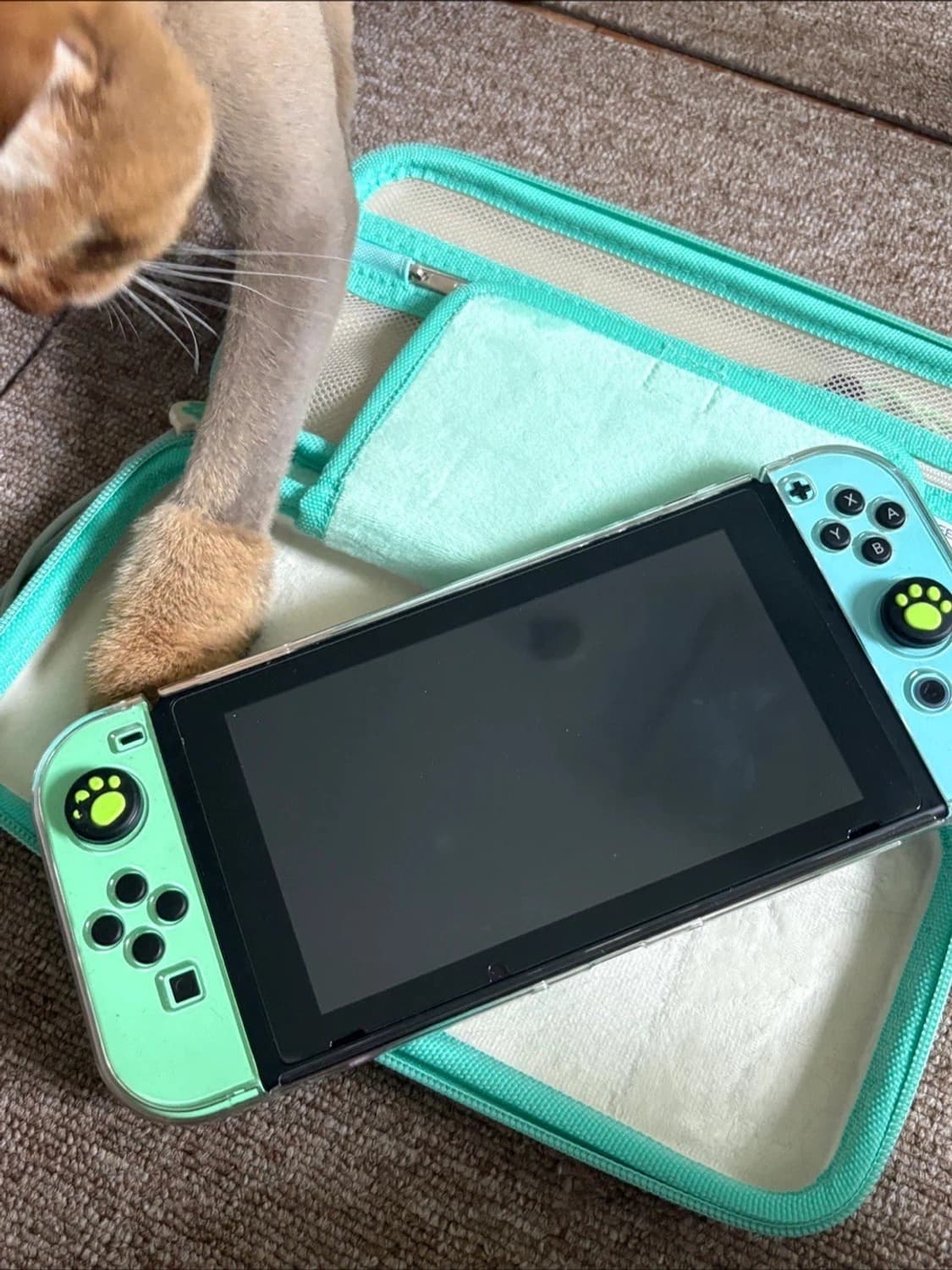 닌텐도 스위치 모동숲 에디션  상품이미지3