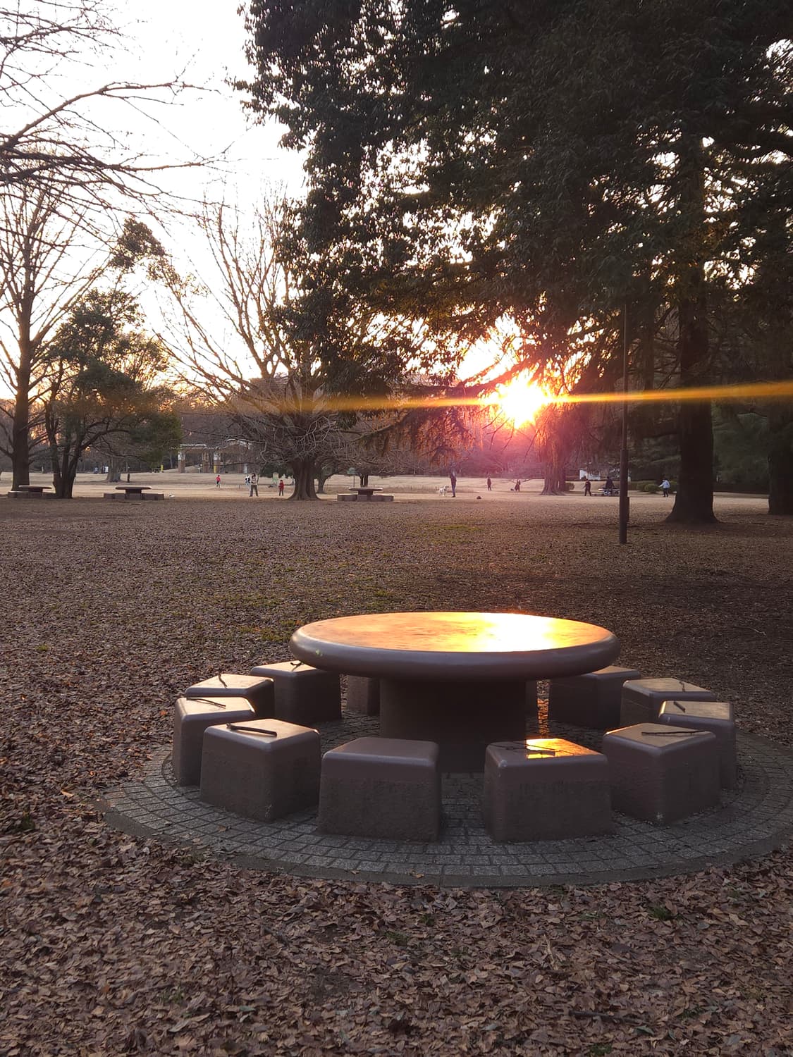 산요 작티 DMX-C5 상품이미지9