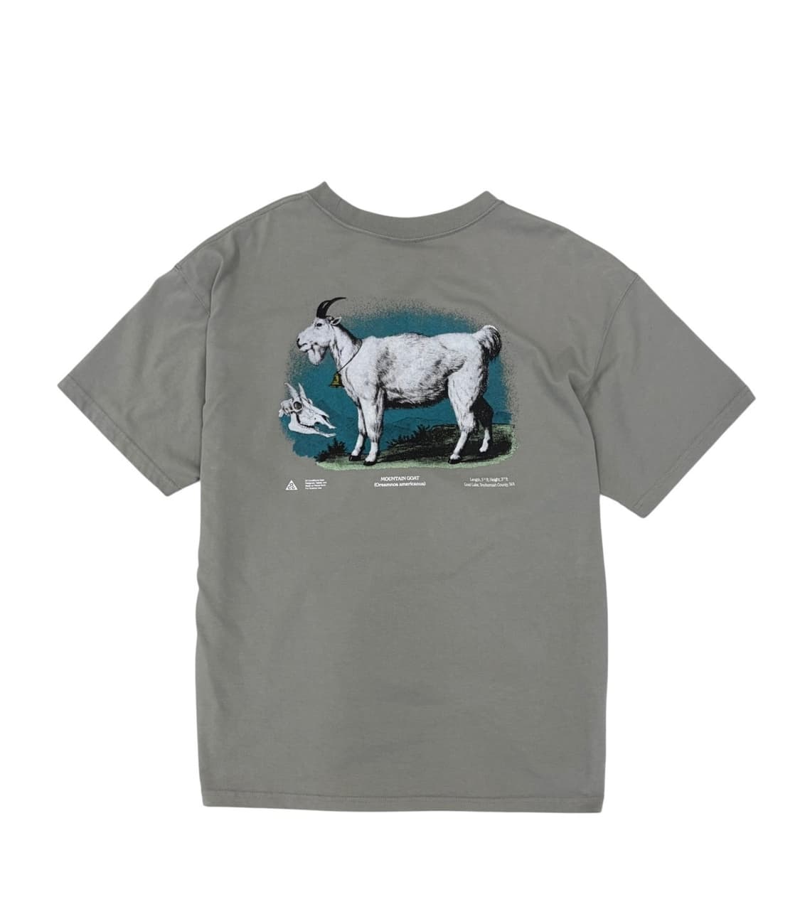 나이키 ACG 고트 반팔 카키 (2XL) 상품이미지7