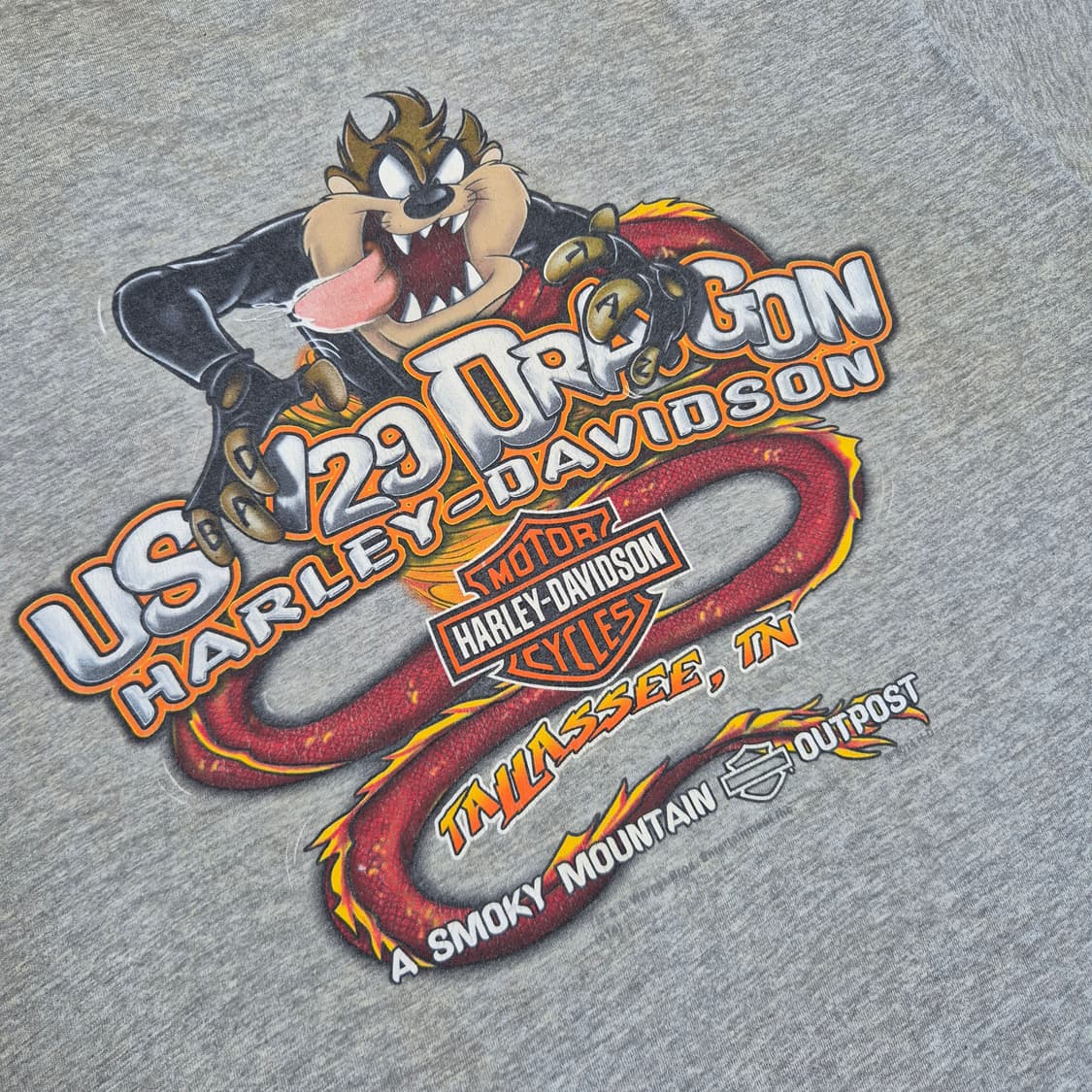 [XL]할리데이비슨 스모키 마운틴 테즈 -712 상품이미지4