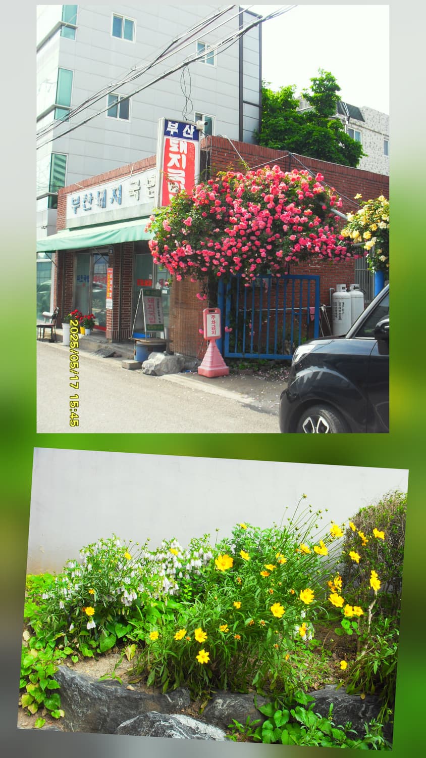 삼성 VLUU i100 디지털카메라 상품이미지9