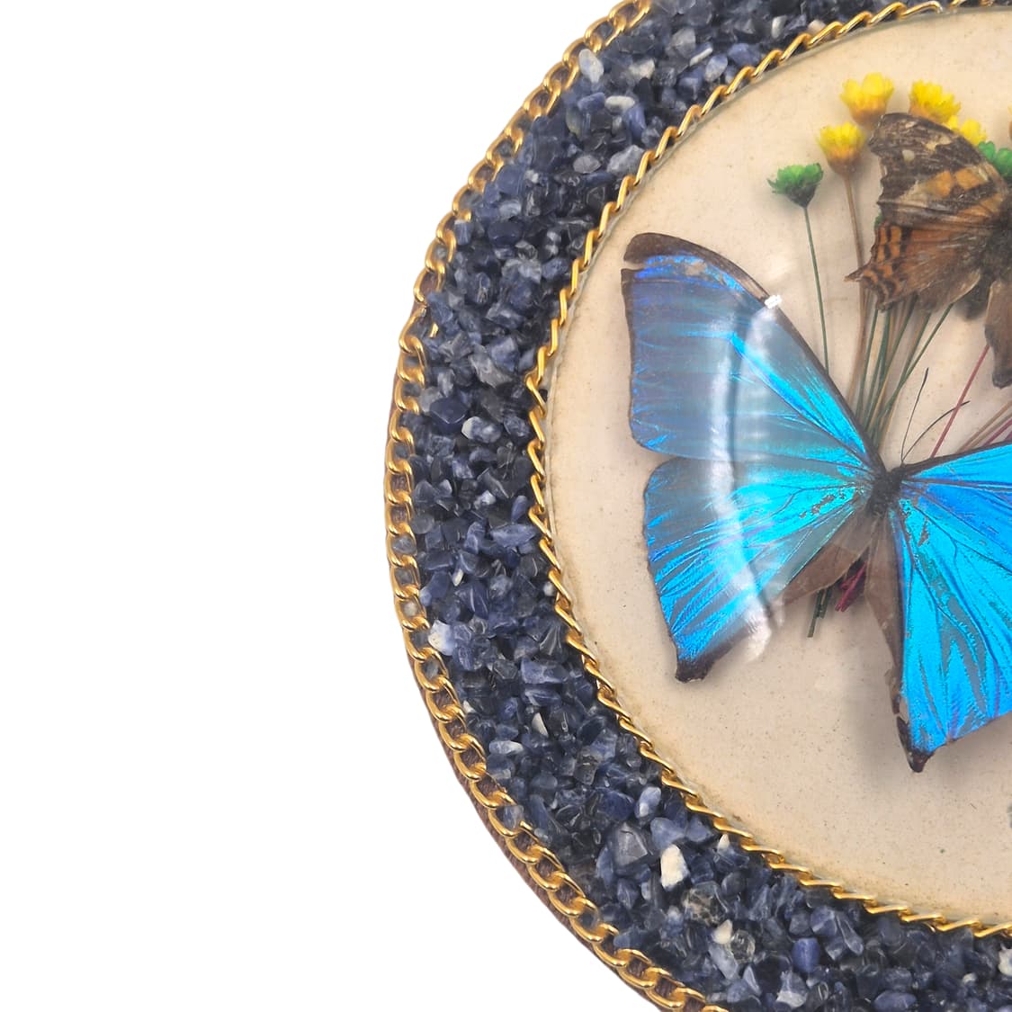 90s 브라질 모르포 나비 표본 원석 벽걸이 상품이미지3