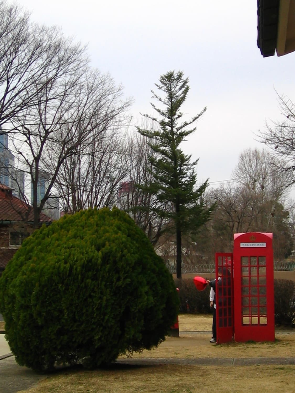 [작례O]캐논 익서스 디지털 L 상품이미지4