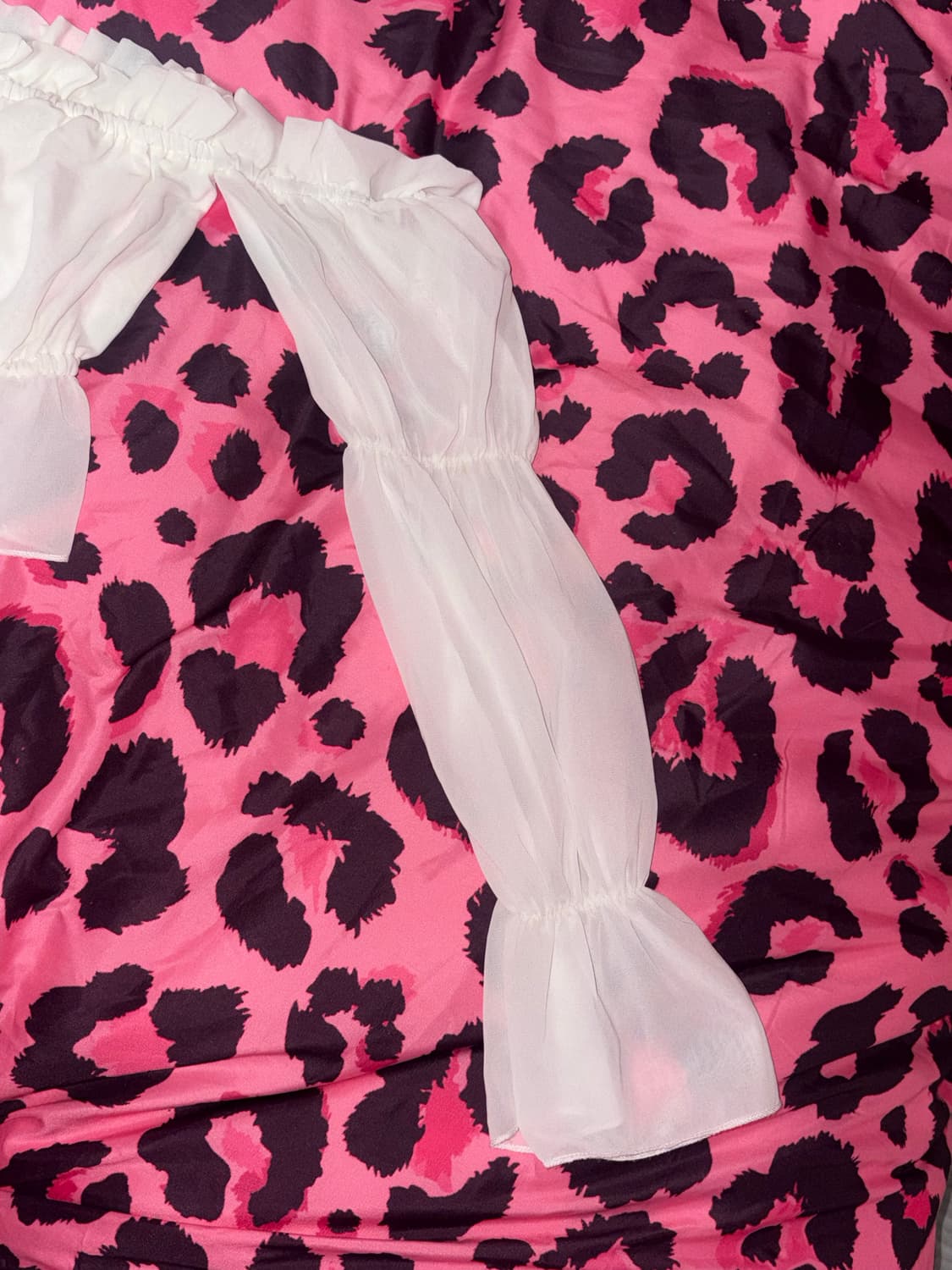 페일로즈 빈티지 오마카세 세트 히메갸루 로걀 상품이미지6