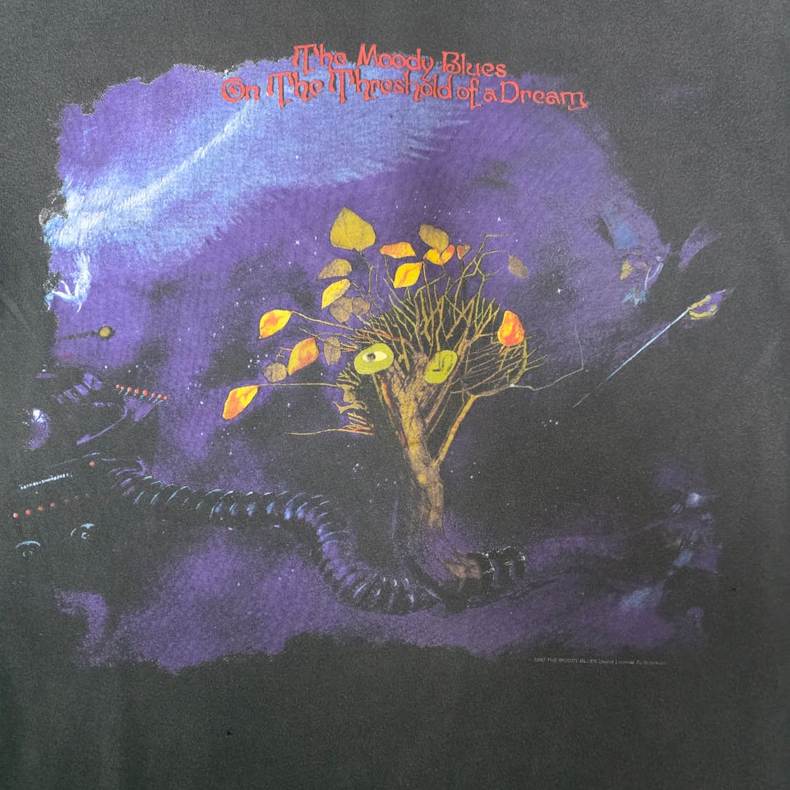 [OS] 90s 무디 블루스 빈티지 밴드티 ver. 하드페이드 상품이미지2