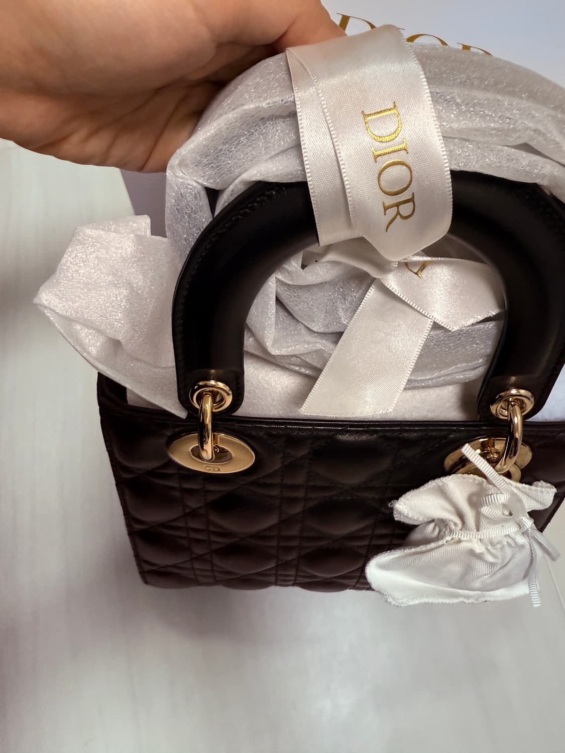 디올 레이디백 Abc까나쥬 판매 새상품 상품이미지8