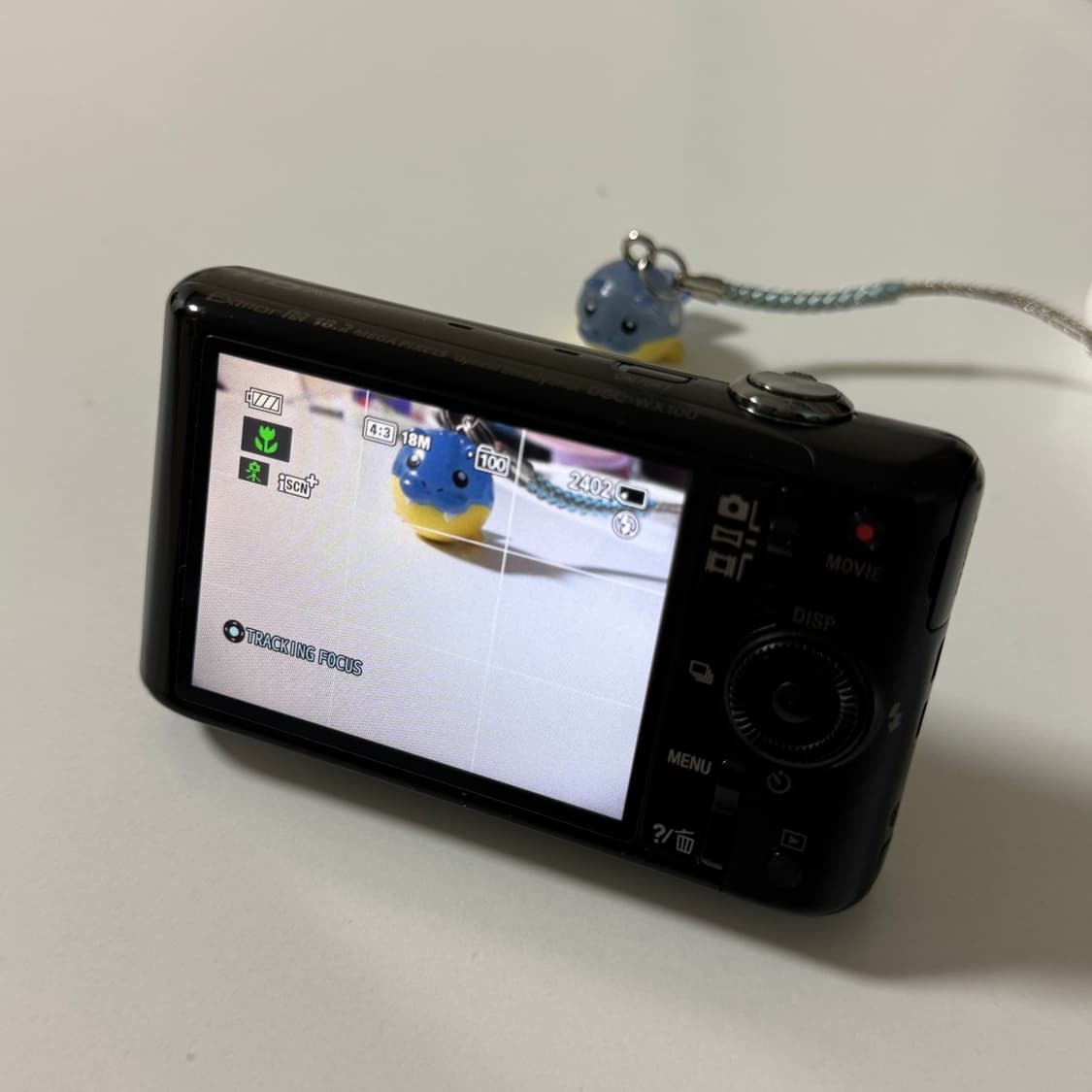 소니 DSC-WX100 (한국어 지원) 상품이미지8