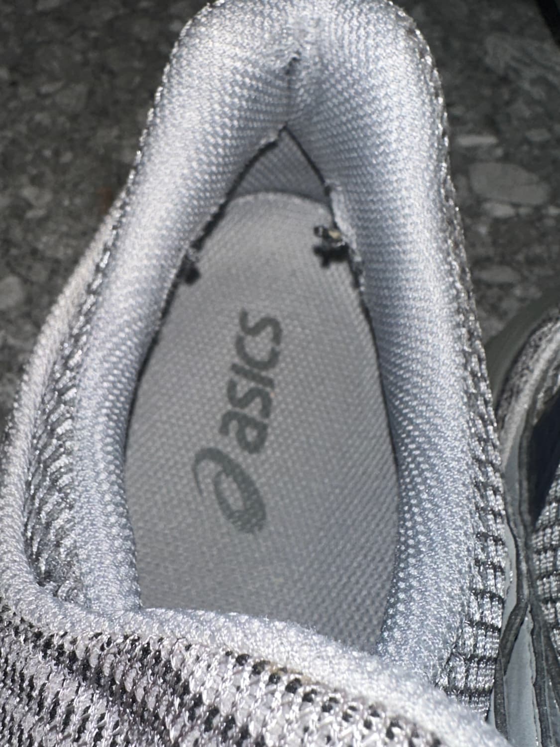 키코코스타디노브 젤키릴 라벤더 상품이미지3