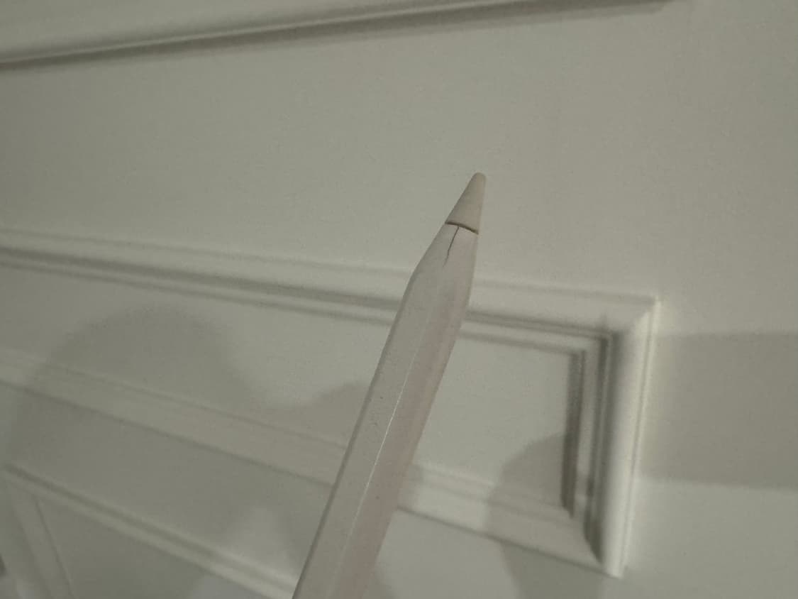 아이패드 프로 11 2세대 + 애플펜슬 상품이미지5