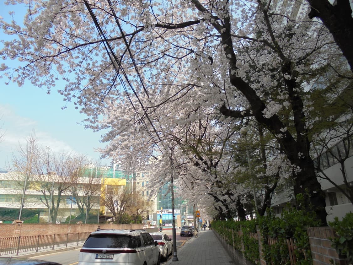 소니 사이버샷 dsc- W810 상품이미지7